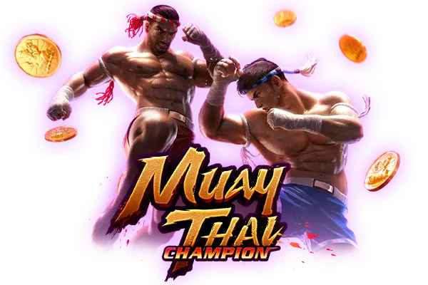 Muay Thai Champion